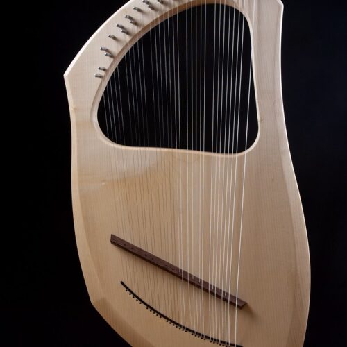 Lyror Lyre 30 str. e-a" incl. Case
