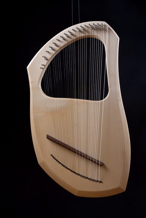 Lyror Lyre 30 str. e-a" incl. Case